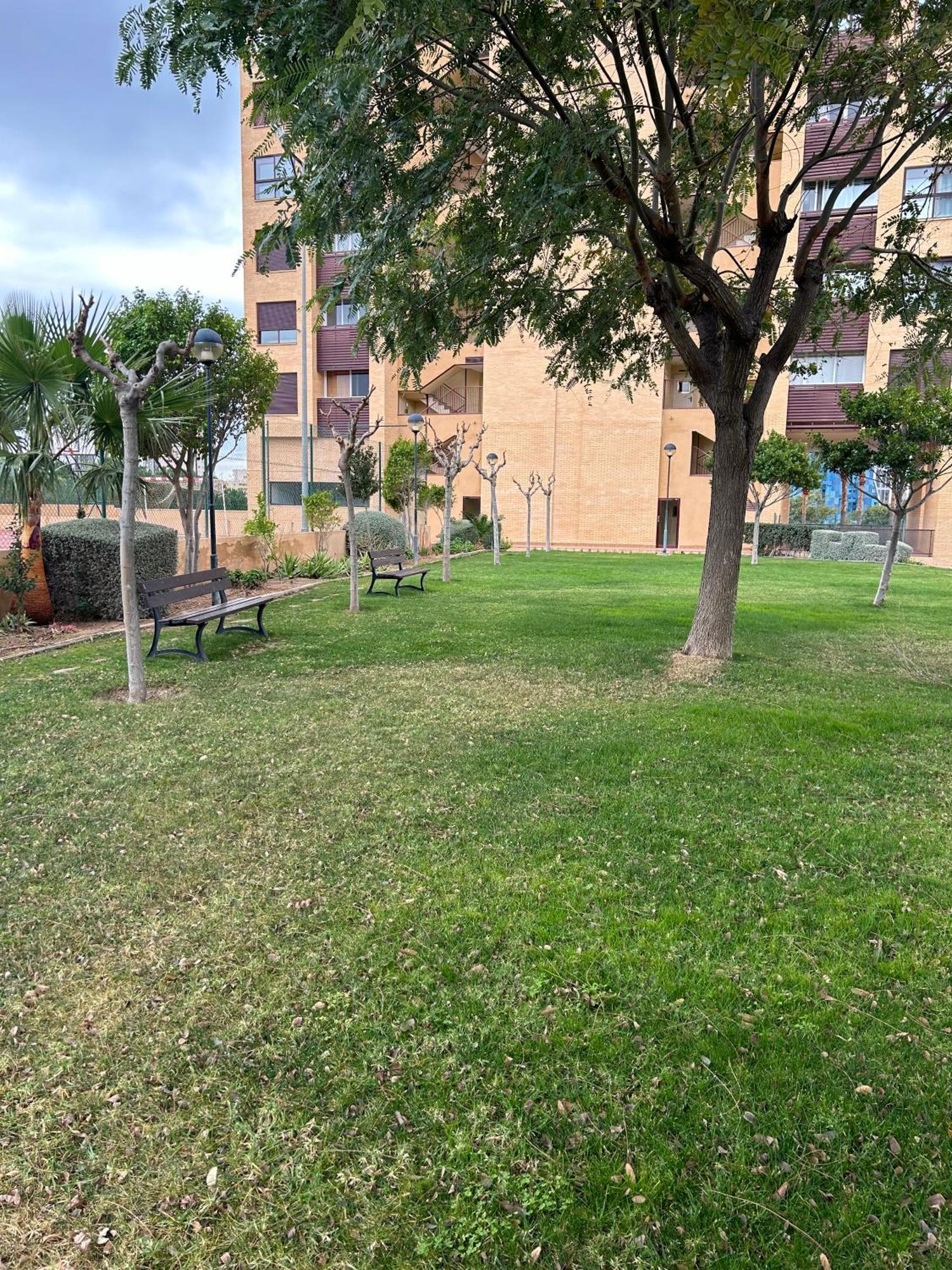 Terrazas Benidorm Lejlighed Eksteriør billede
